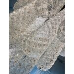 Venetian“Conchiglie” Murano Glass Cascade Black Nikel Chandelier - Image 6