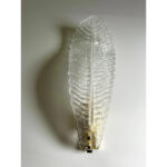 Venetian White "Graniglia" Leave Murano Glass Walls Sconce - a Pair - Image 3