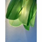 Pair of Contemporary Modern Sanded Green Light and Dark “Rondini” Murano Wall Sconces - Image 4